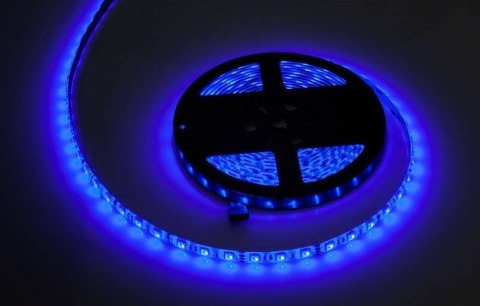 sznur-diodowy-5m-rgb-300x5050-smd-wodoodporny-biae-pcb-led0138-2 sznur-diodowy-5m-rgb-300x5050-smd-wodoodporny-biae-pcb-led0138-2