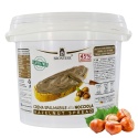 KREM ORZECH LASKOWY 45% włoski BRONTESE z Sycylii 3kg gastronomia