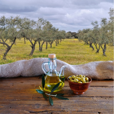 MORETTINI Frantoio di San Gimignano Oliwa Extra Vergine 500ml Włochy MORETTINI Frantoio di San Gimignano Oliwa Extra Vergine 500ml Włochy